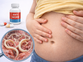 Anti Worm